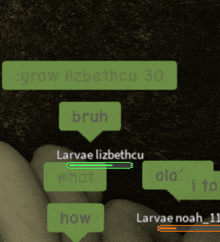 a screenshot of a conversation between larvae noah 11 and lizbethcu 30