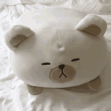 a white teddy bear with a brown nose is laying on a bed