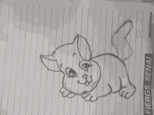 a drawing of a cat is on a piece of paper that says fieros senai