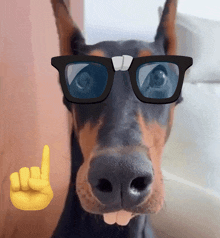 a close up of a dog wearing sunglasses and a yellow hand giving a peace sign