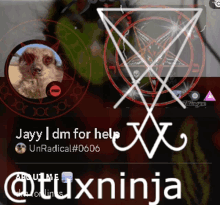 a picture of a cat with a pentagram and the words jayy dm for help