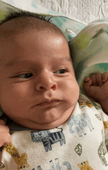 a baby wearing a bib with zebras and leaves on it