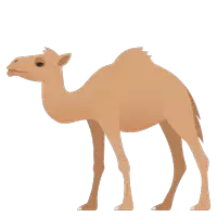 a camel is standing on a white background with its tongue out