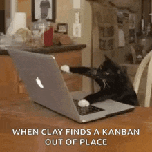 a black cat is sitting at a table with a laptop computer .