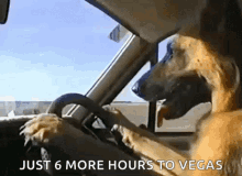 a dog is driving a car with the words just 6 more hours to vegas on the bottom