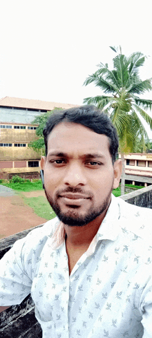 a man with a beard is taking a selfie with a palm tree in the background