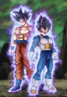 a drawing of goku and vegeta from dragon ball standing next to each other