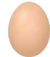 a brown egg on a white background with a white border