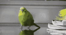 a green parakeet is walking on a table next to a stack of books .