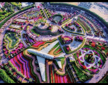 an aerial view of a garden with flowers and a plane in the middle