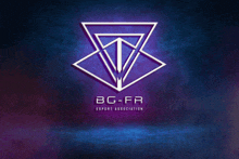 a logo for bg-fr esport association on a dark blue background