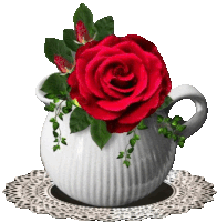 a white cup with a red rose in it sits on a lace placemat