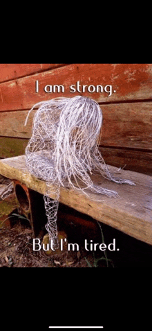 a wire sculpture of a woman sits on a wooden bench with the words i am strong but i 'm tired below it