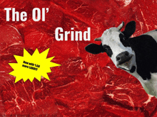 a cow standing in front of a pile of steaks with the words " the ol ' grind " written above it