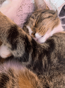 a cat is sleeping on a blanket with its eyes closed