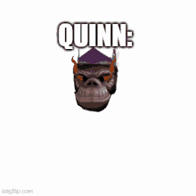 a picture of a gorilla wearing a purple hat with the name quinn written on it