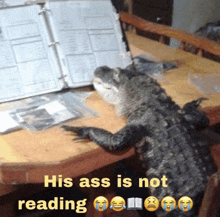 a crocodile is sitting at a desk reading a book with the words his ass is not reading above it