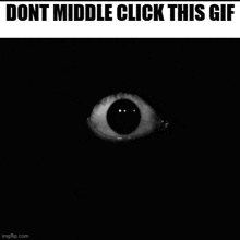 a black and white photo of an eye with the words dont middle click this gif below it