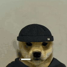 a dog wearing a hat and holding a cigarette