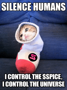 a cat is wrapped in a sock with the words silence humans i control the $ spice i control the universe