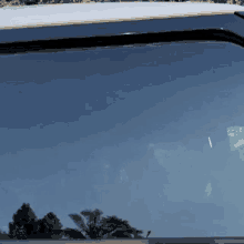 a car windshield with a blue sky and palm trees reflected in it .