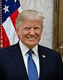 donald trump is wearing a suit and tie and smiling in front of a flag .