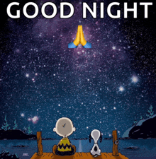 snoopy and charlie brown sitting on a dock looking at the stars