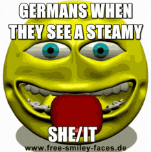 a yellow smiley face with the words germans when they see a steamy she / it at the bottom