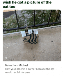 a starbucks bag is taped to a concrete surface with a caption wish he got a picture of the cat too