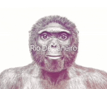 a drawing of a monkey with the words rio de janeiro on the bottom right