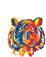 a colorful illustration of a tiger 's head with a white background