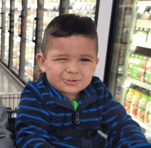 a young boy in a blue and black striped jacket is sitting in a shopping cart in a grocery store