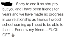 sorry to end it so abruptly but you and i have been friends for years and we have made no progress in our relationship