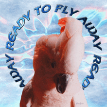 a picture of a cockatoo with the words " ready to fly " around it