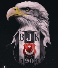 a bald eagle with the letters bjk 1903 on it