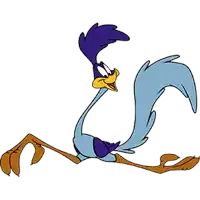 a cartoon bird with a long tail is running