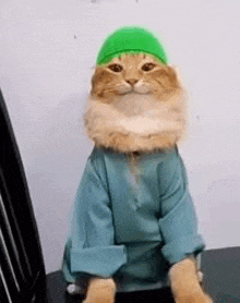 a cat is wearing a green hat and a blue coat .