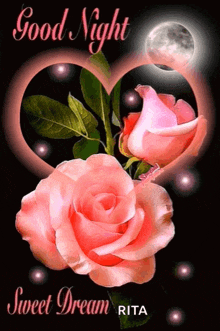 a picture of two pink roses with the words good night sweet dream rita