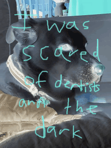 a picture of a dog with the words i was scared of dentists and the dark written on it