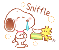 a cartoon of snoopy sneezing next to woodstock holding a box of tissues