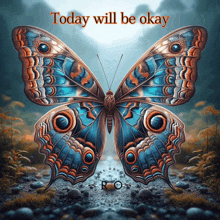 a picture of a butterfly with the words today will be okay above it