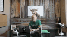 a man is sitting at a desk with a laptop and a picture of a bull on the wall behind him