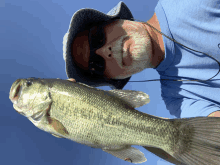 a man in a blue shirt is holding a large fish