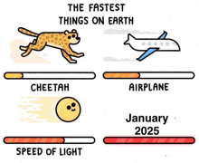 a cartoon of a cheetah , airplane , speed of light , and speed of light .