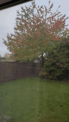 a backyard with a fence and a tree in the background