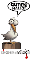 a cartoon of a seagull with a speech bubble saying guten hallo