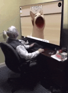 a man is sitting at a desk in front of a computer screen with a pop cat on it .