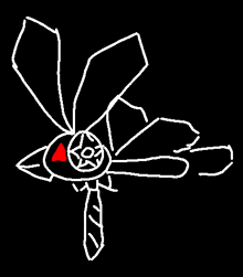 a white line drawing of a dragonfly with a red eye and a pentagram on its head .