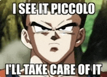 i see it piccolo i 'll take care of it is a meme of a man from dragon ball z .