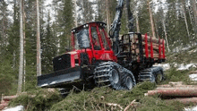 a red logging truck is driving through a forest filled with logs .